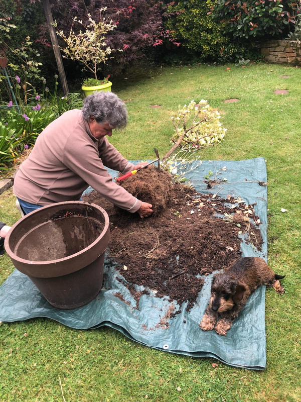 [Image: IMG-20240709-WA0005.jpg]