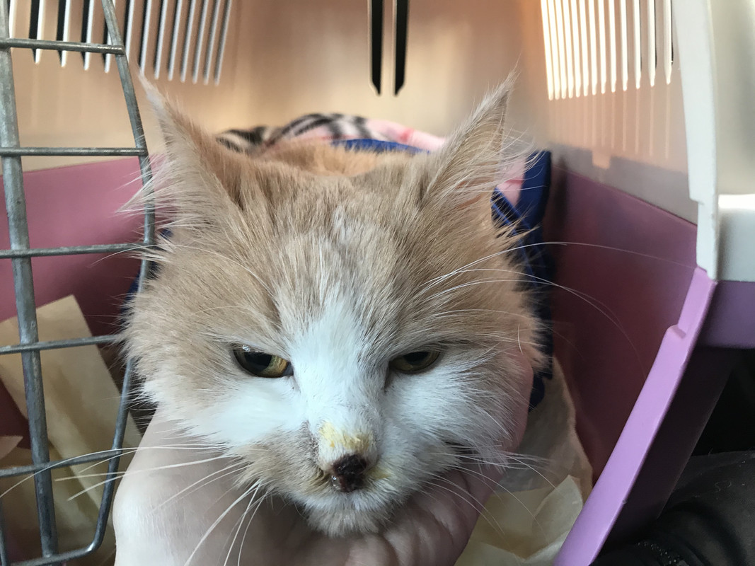 A05166BE-385B-4FC5-B76A-D2413B9AB131