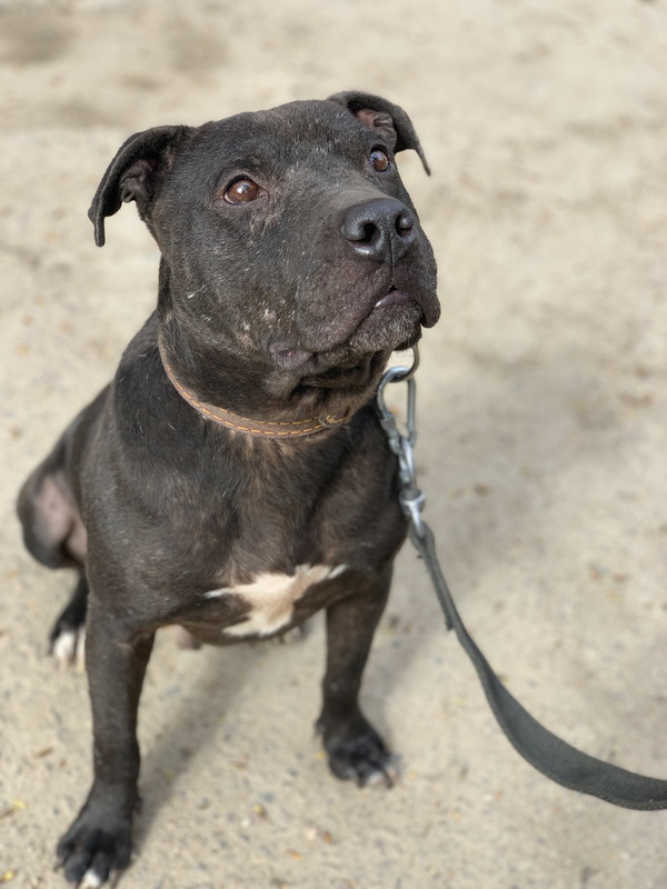 E1AD07D0-510D-4427-9C4F-2C0245927DB5