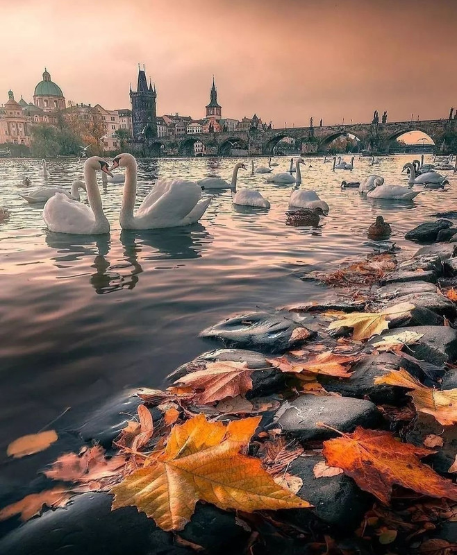 Screenshot_20231207_145529_Instagram