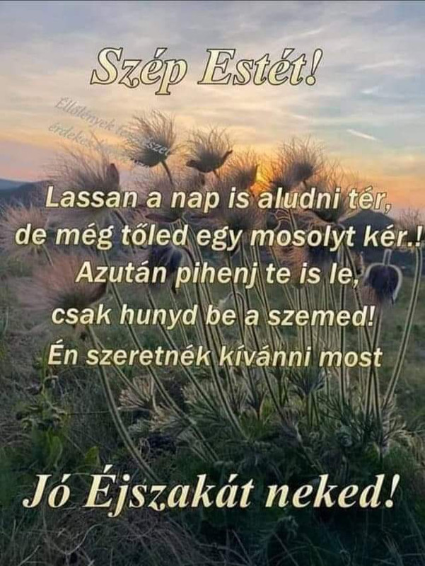 received_287376869887106