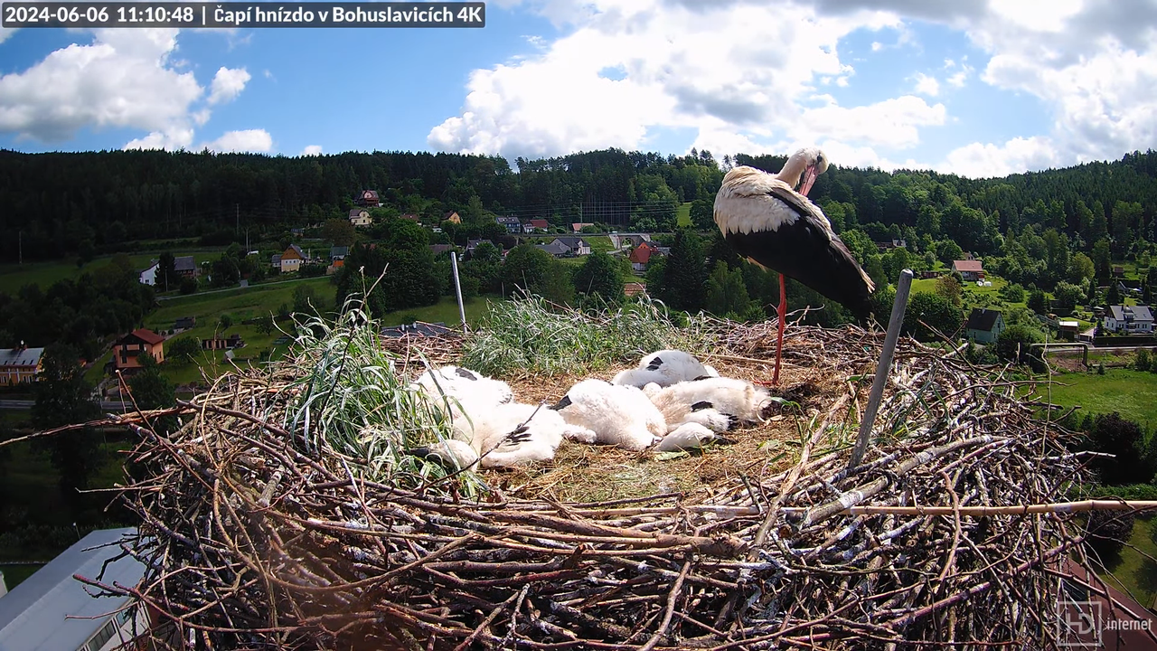 Tiešraidē no uzņēmuma KARA stārķa skursteņa Bohuslavicē pie Trutnovas 6-37-42 screenshot