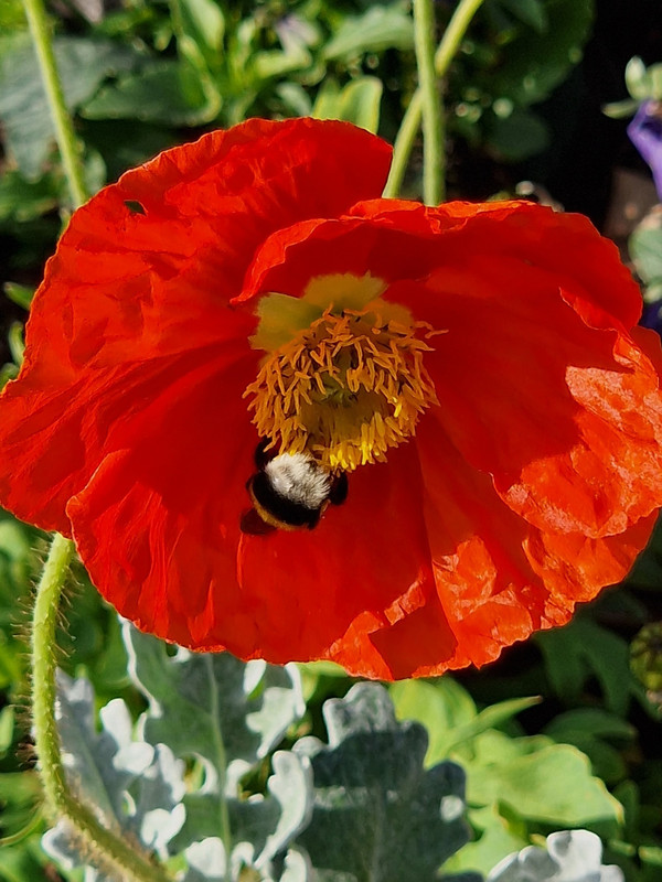 678522515-4295043680752113-8397655118206982778-n