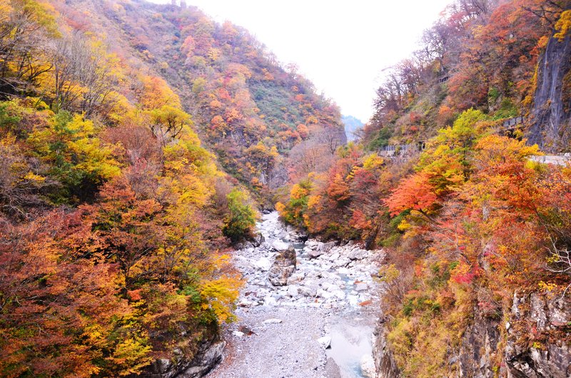 Presa Oguchi Daiichi y Templo Fukase-15-11-2024 - Japón y sus Pueblos-2024 (10)