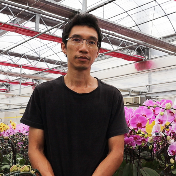 希臘花神 克蘿莉斯蘭園