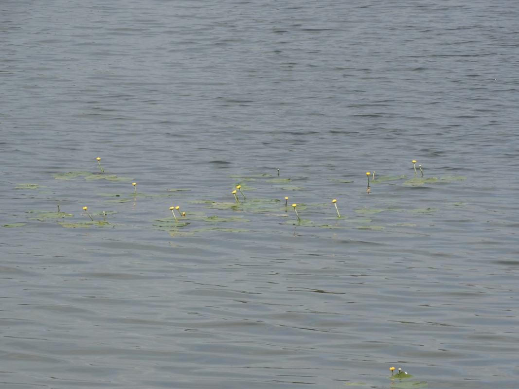 15 - DSC03836 (Czesio1)