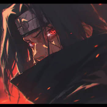 images (11)