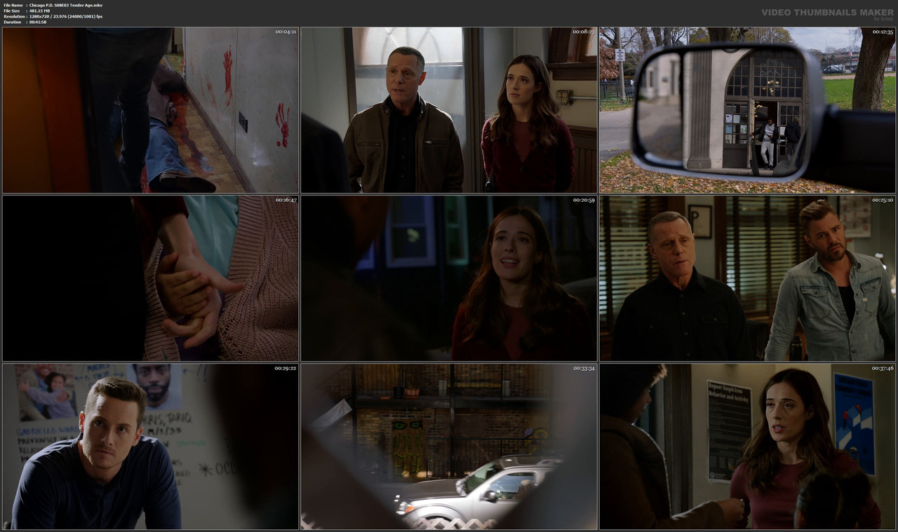 Chicago P.D. S08E03 Tender Age.mkv