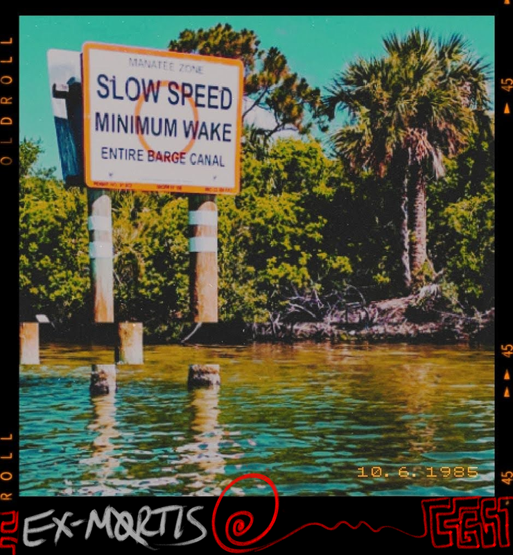 A slow speed minimum wake boating sign standing in a barge canal with palm trees in the background the photo's time stamp reads 10 6 1985