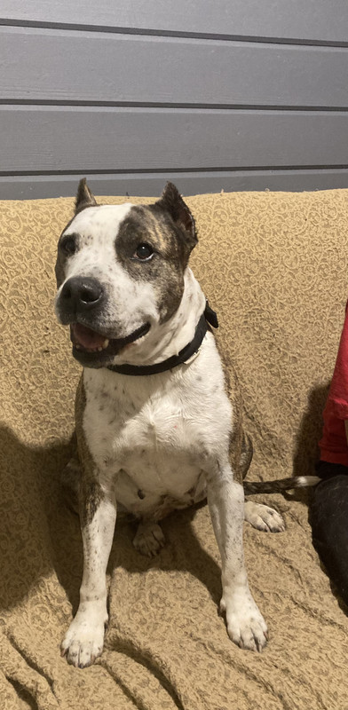 927855E8-D48E-4F8B-B3FB-7DEECCB5E8DE