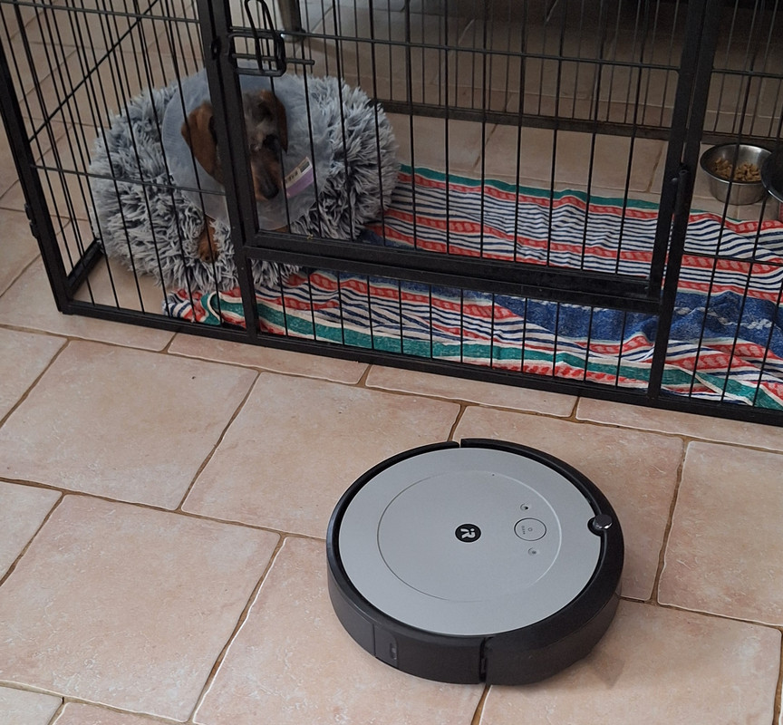 [Image: 20250227-123448.jpg]