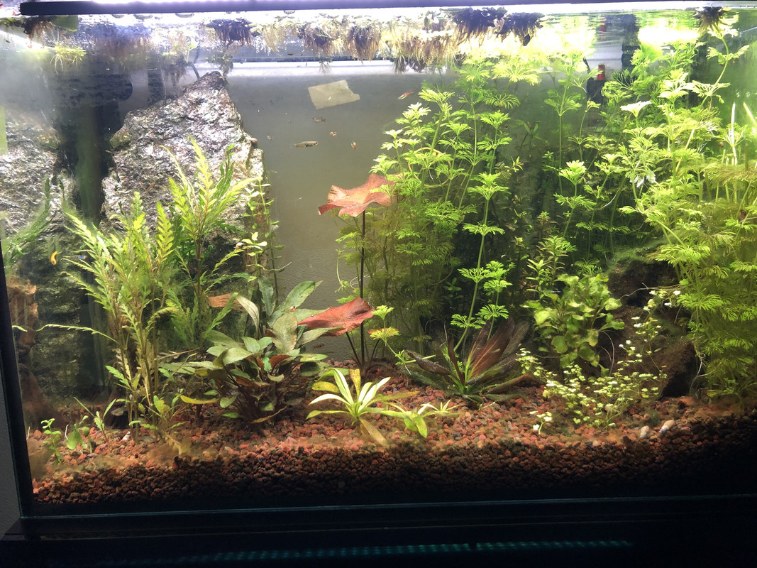 9A7A8B16-2F5C-4F23-ACBD-A2995653F24F