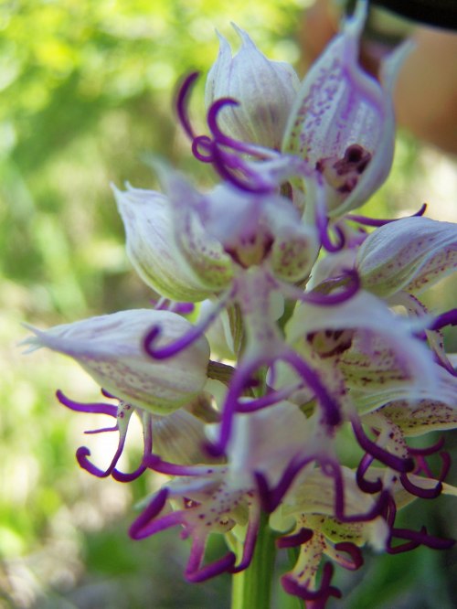 BIG_100_7055 (2250x3000)_1515435712234