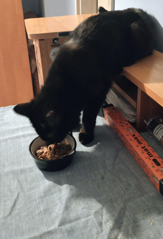 IMG 20260302 224840877 HDR 2