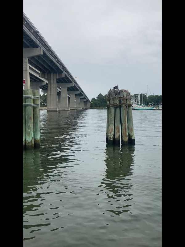 6ED761DF-640B-4842-9856-D50B0A119F13