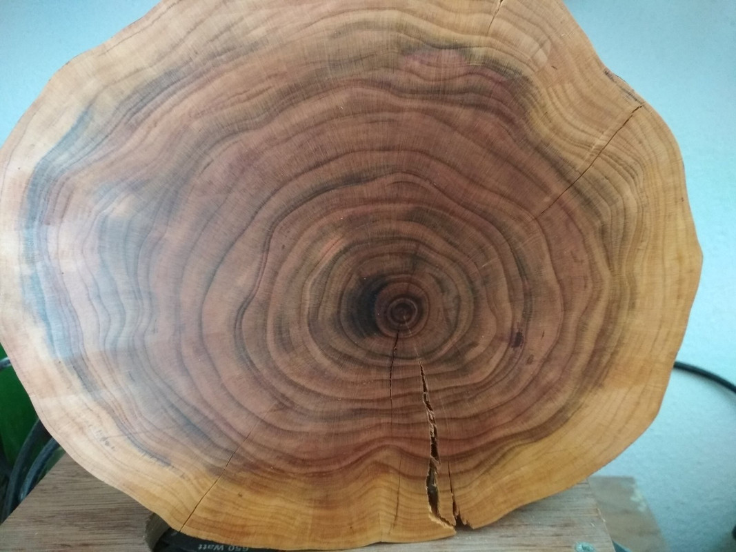 54275DCE-F6B4-4230-B534-EAB5F54EBEB8