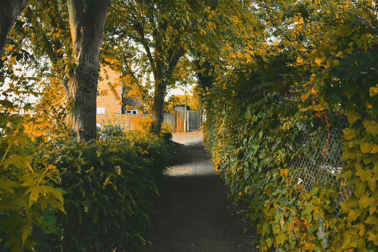 University of Reading campus lake