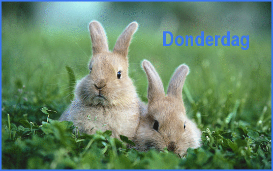 animaatjes-donderdag-2161310.gif