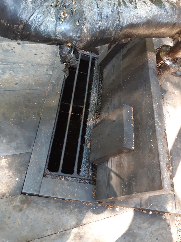 04.12 - 20220617_111501 (PiTT)