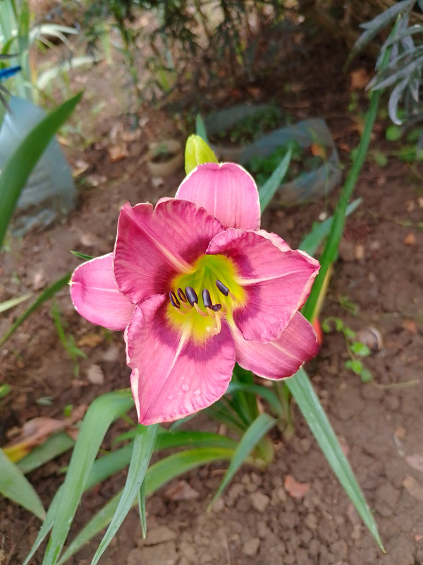 IMG_20230617_080812_HDR