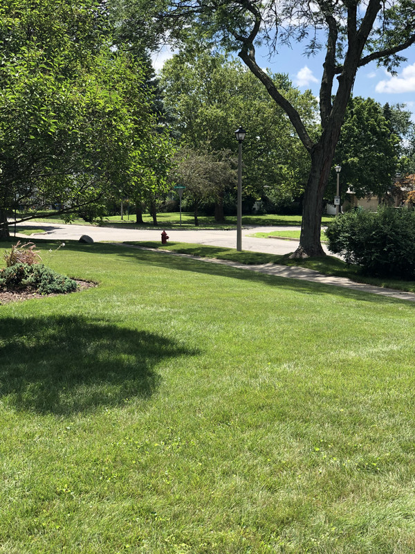 242B614B-E816-4C7F-B515-CFA7246E3528