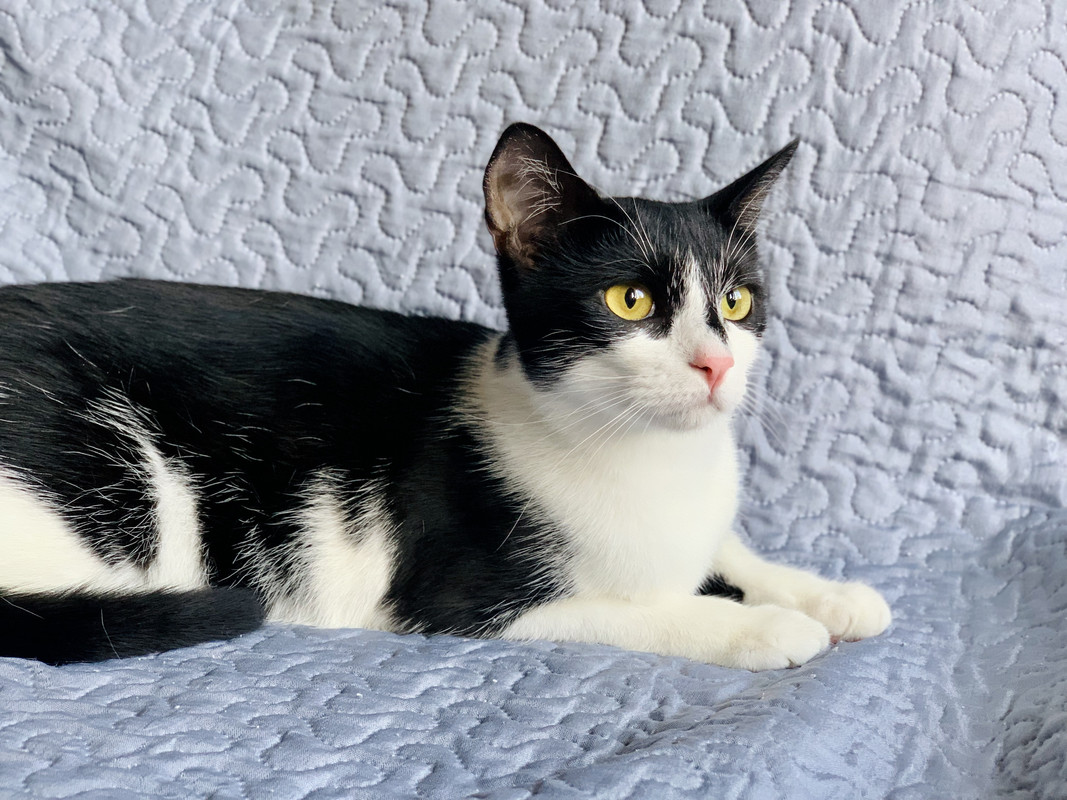 IMG_20230908_174635_105