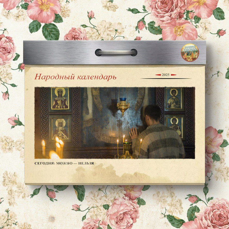 Без названия (1)