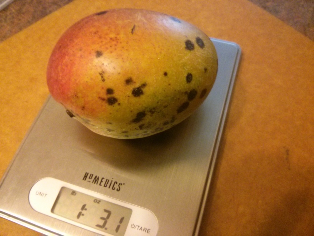 FruitPunch1