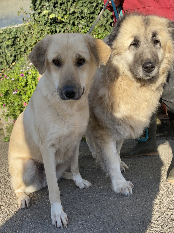 F681A69C-0749-4A71-9623-84D331315437