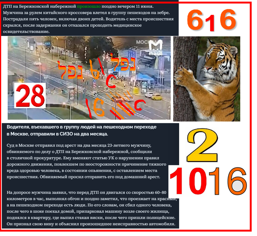 https://i.postimg.cc/43YVr26W/482.png