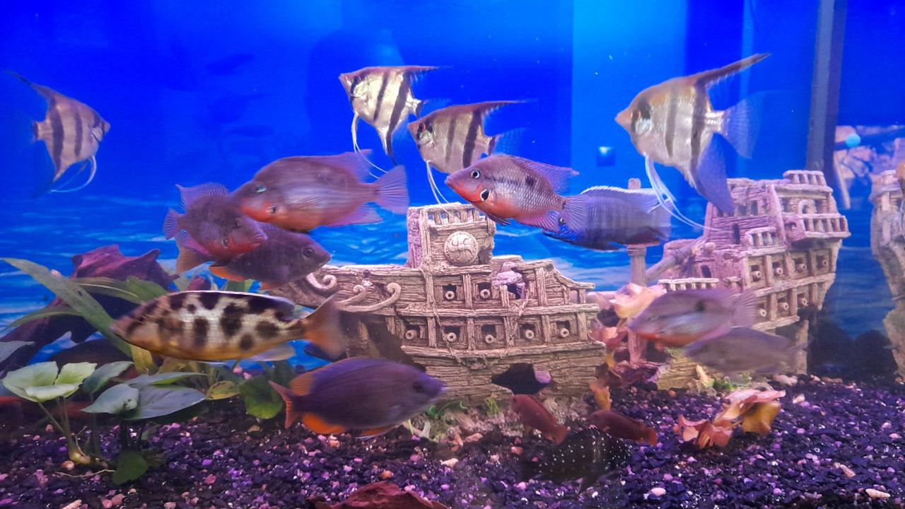 изображение_viber_2020-10-08_18-58-26