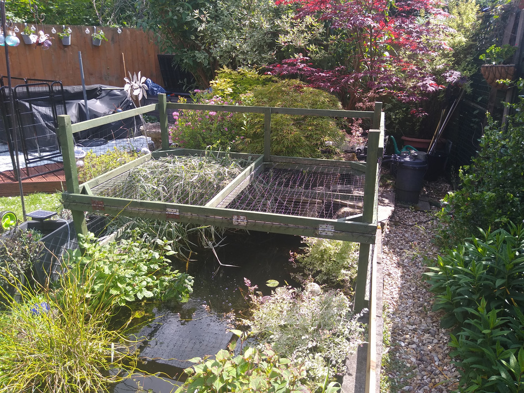 IMG_20250610_145805987