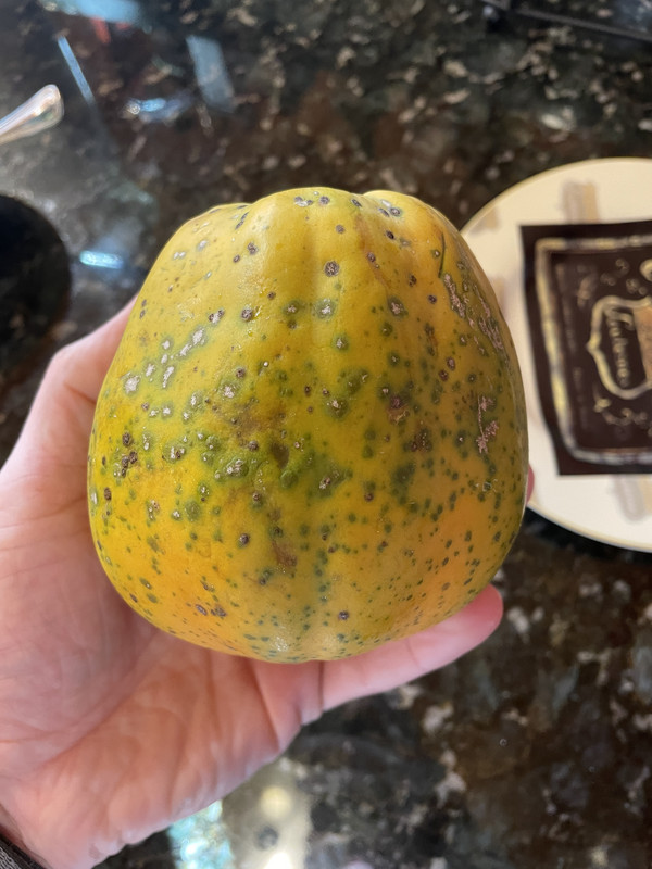 53FABB0B-268E-4F6B-BD14-70FD2BDBC1E9