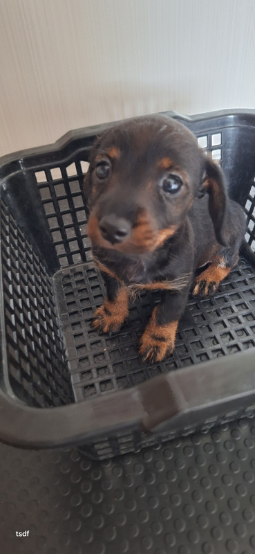 [Image: 20250531-162510.jpg]