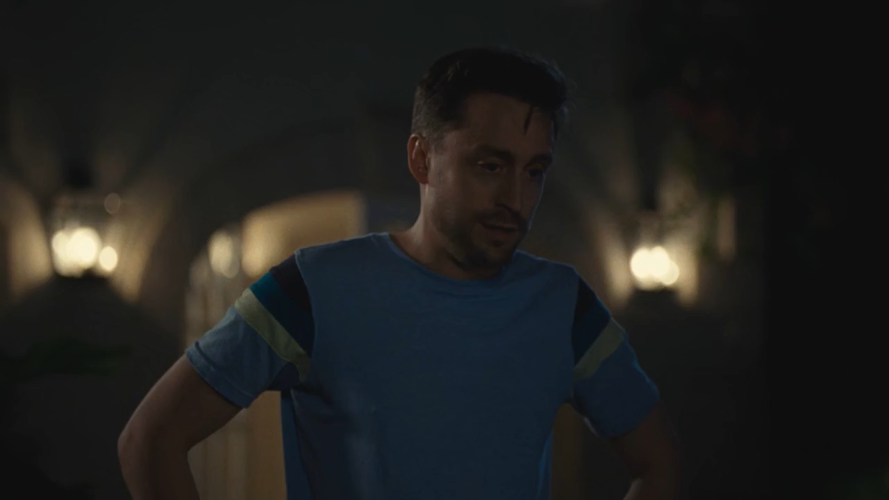 Succession 2023 BluRay Season 4 [Hindi + Tamil + Telugu + Kannada + English] 480p 720p ESub Screenshot