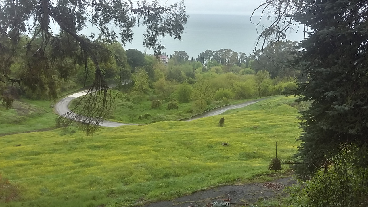 20220502_104356_Richtone(HDR)