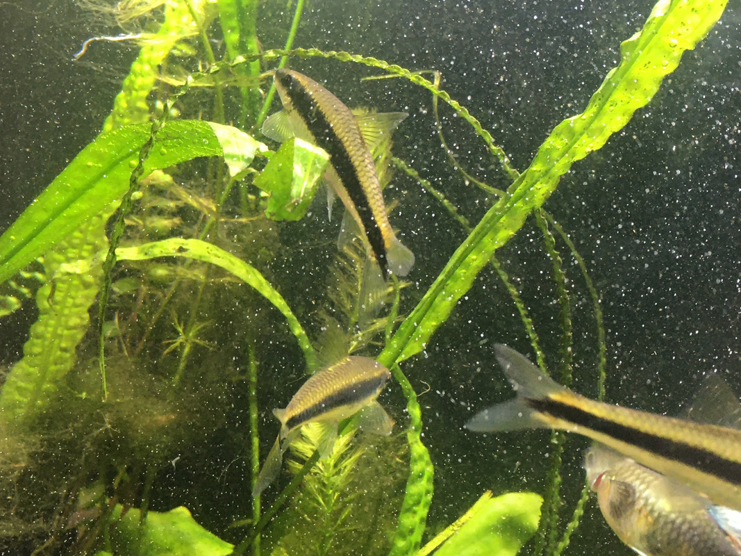 D9D88CA7-A66A-41B0-ACB9-A64200CB0263