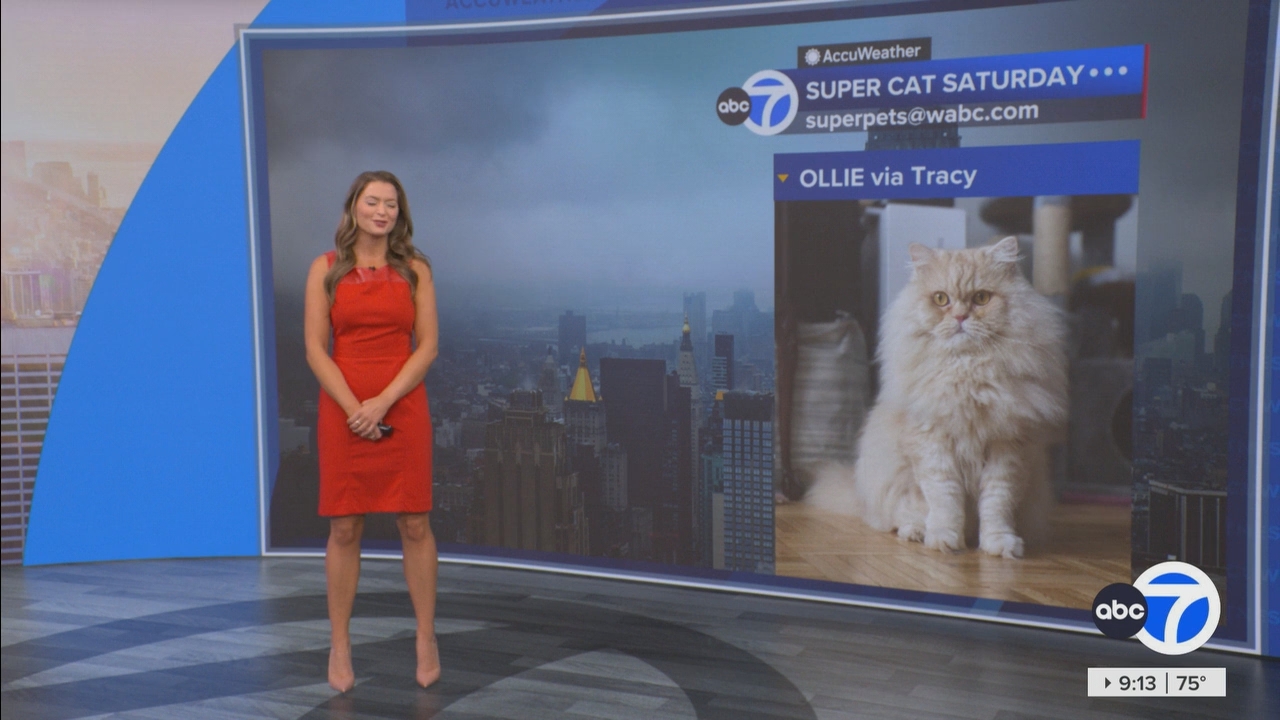 Eyewitness News This Morning_20250906_14001500.ts_snapshot_14.04.702
