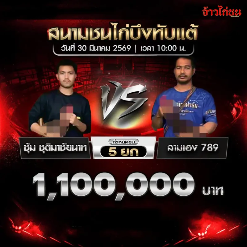 โปรแกรมไก่ชน ซุ้ม ชุติมาชัยนาท vs สามเฮง789 สนามชนไก่บึงทับแต้ 30 มีนาคม 2569
