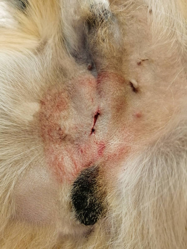 изображение_viber_2020-05-22_15-58-01