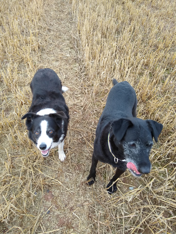 IMG_20180901_084546998