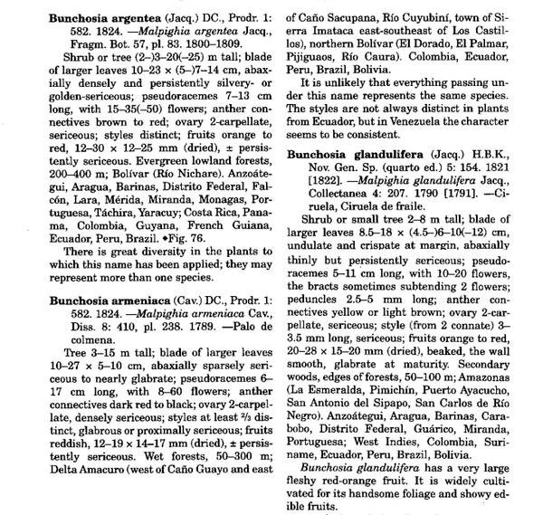 Bunchosia