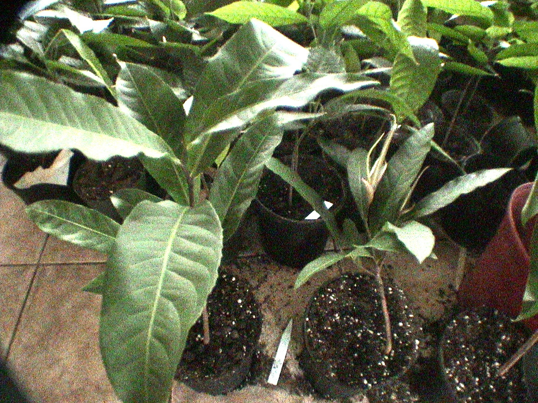 DSC01291