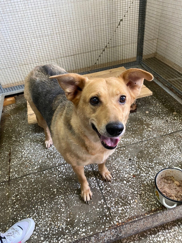 72E40FF7-3C4B-488E-99C8-A81936EAF63F