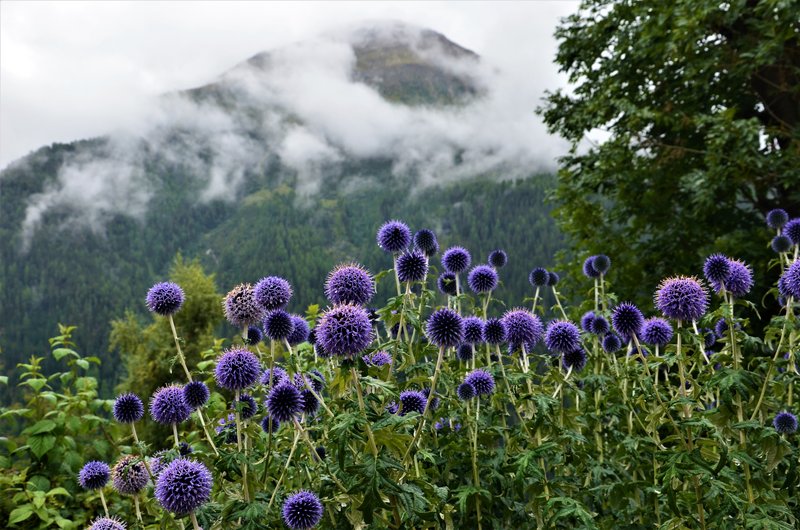 GUARDA-7-9-2019 - Suiza y sus pueblos-2019 (48)