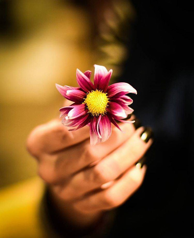 ���� ���� ������ �� ���� ������