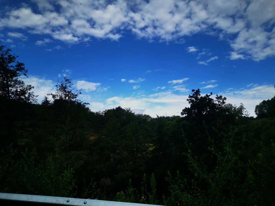 Bourgogne2019 (7).jpg.1