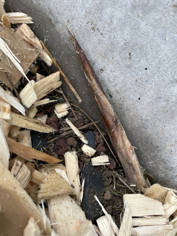 8B7ED515-5FF1-49EE-95B8-F64141A36C8A