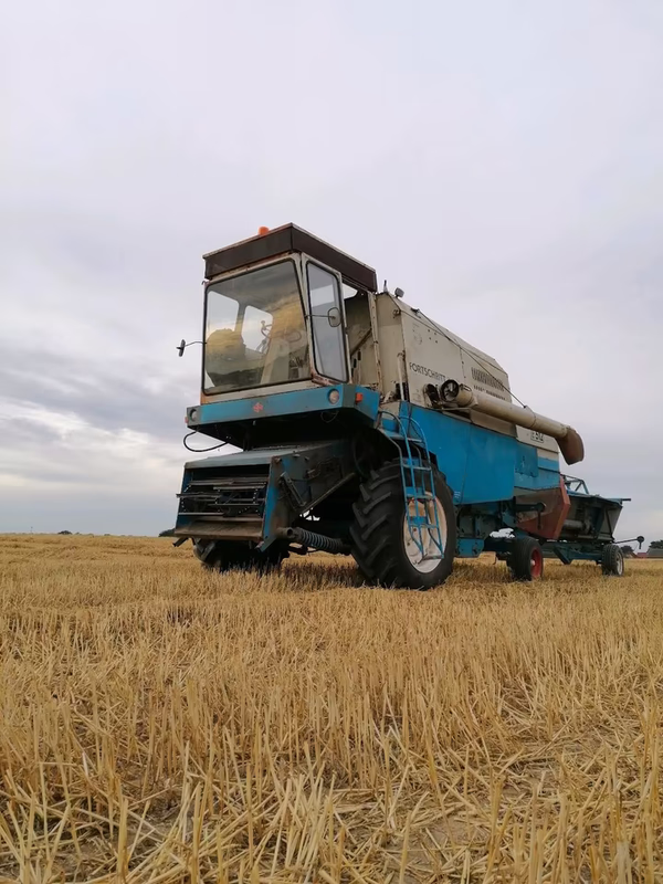 b8cf0a99 d31d 4b03 b111 f0c9f91d1182