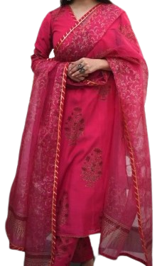 Organza Suit Design